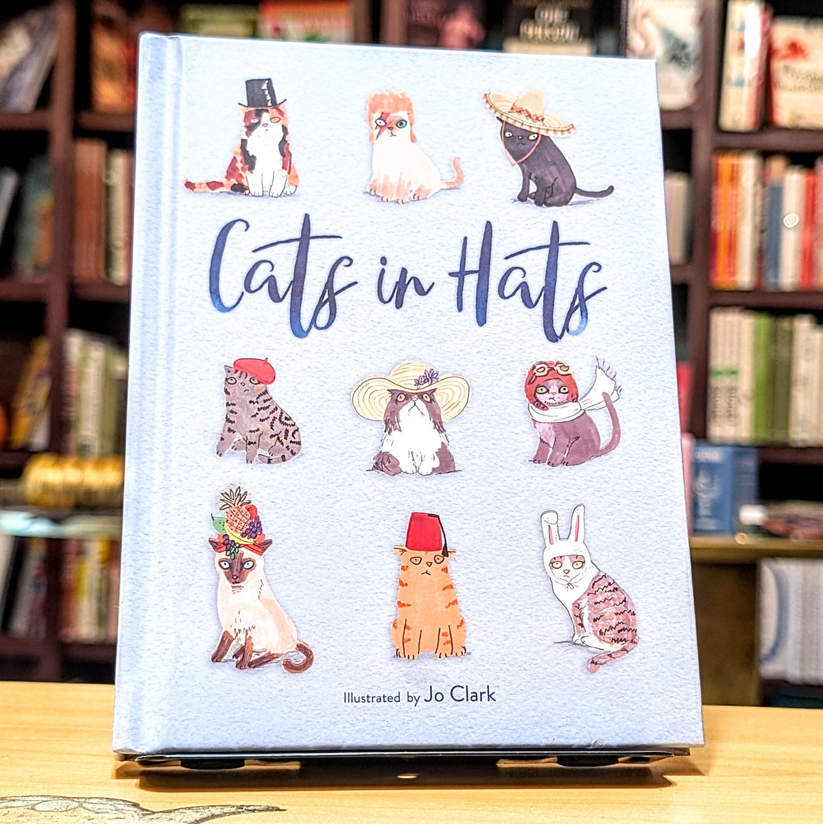 Cats in Hats