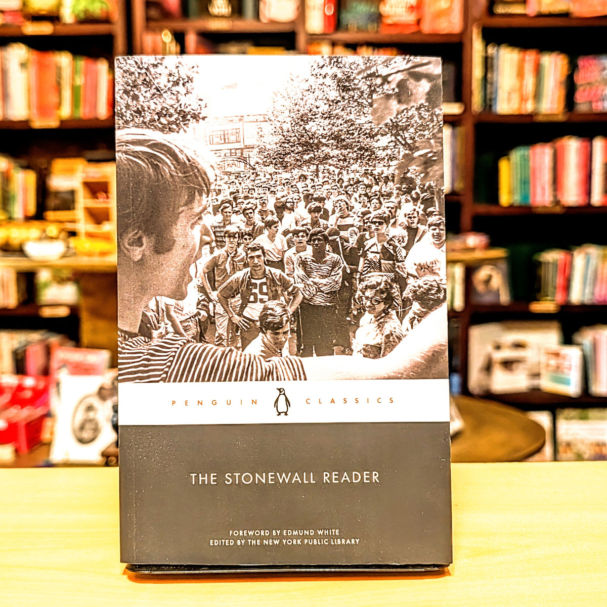 The Stonewall Reader