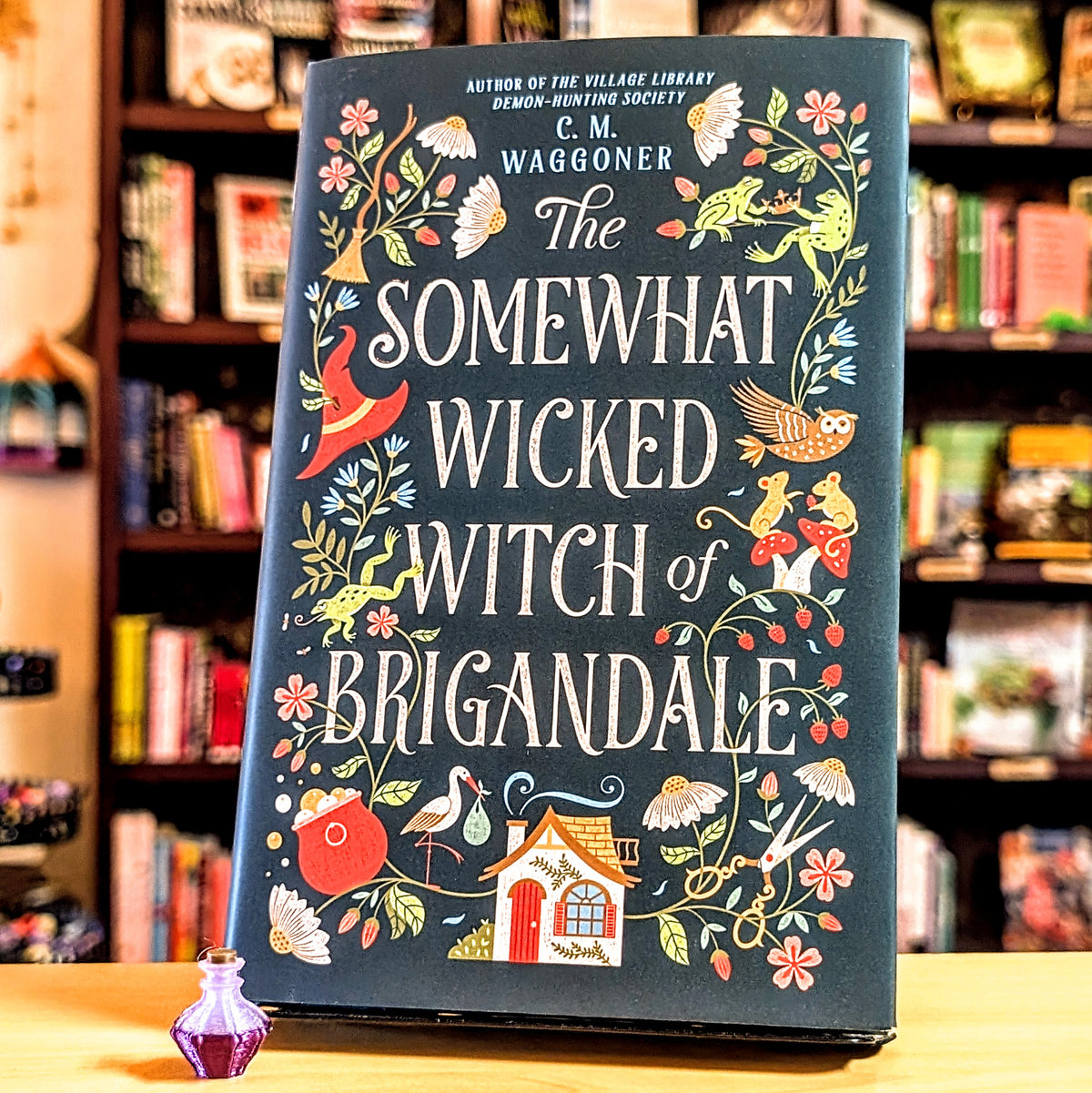 The Somewhat Wicked Witch of Brigandale