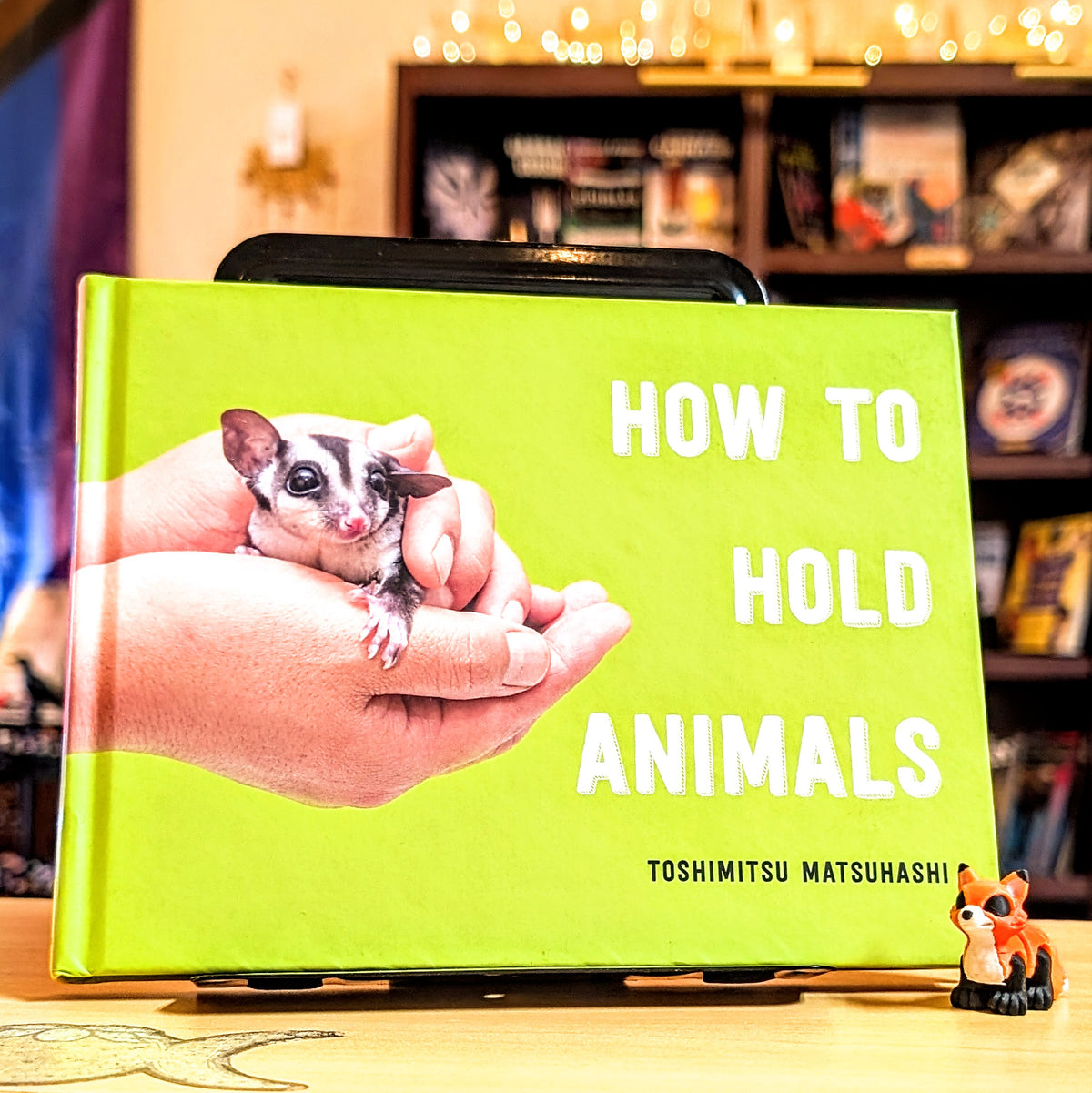 How to Hold Animals