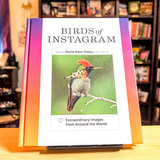 Birds of Instagram