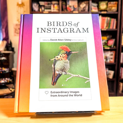 Birds of Instagram