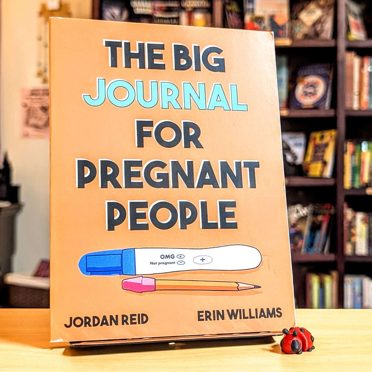 The Big Journal for Pregnant People