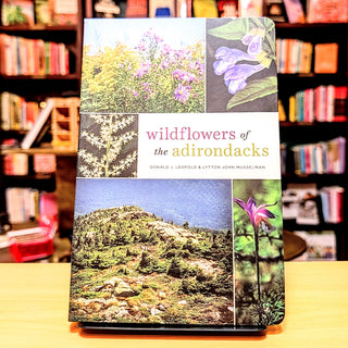 Wildflowers of the Adirondacks