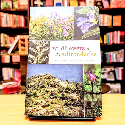 Wildflowers of the Adirondacks