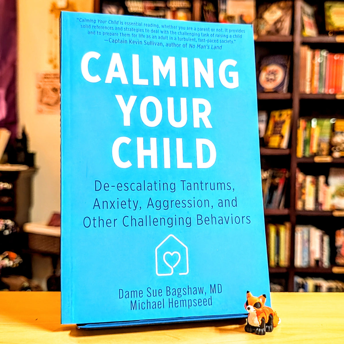 Calming Your Child