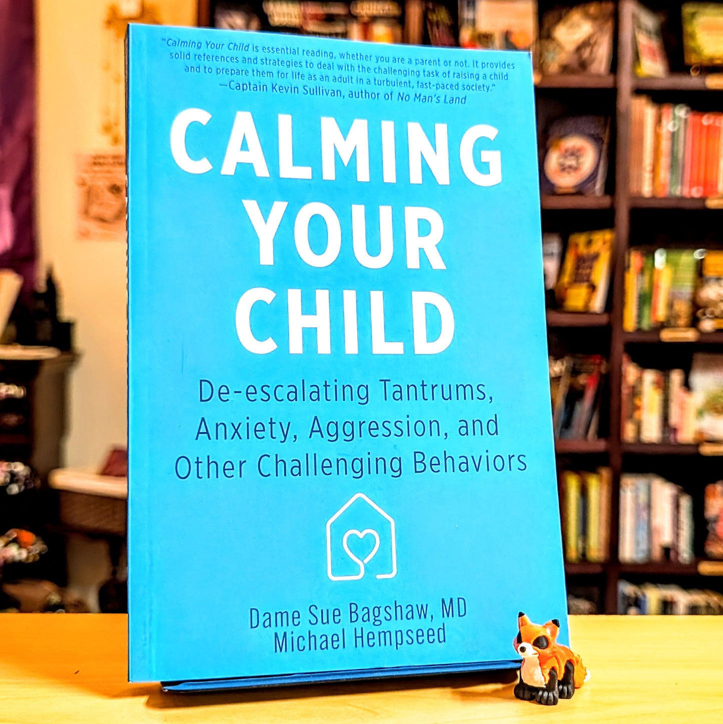 Calming Your Child: De-Escalating Tantrums, Anxiety, Aggression, and Other Challenging Behaviors