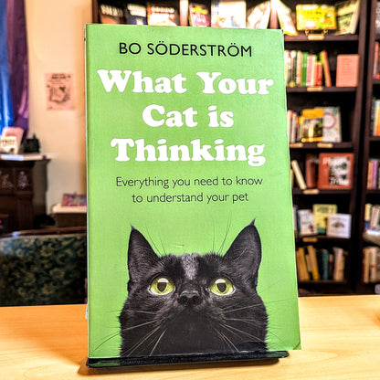 What Your Cat Is Thinking