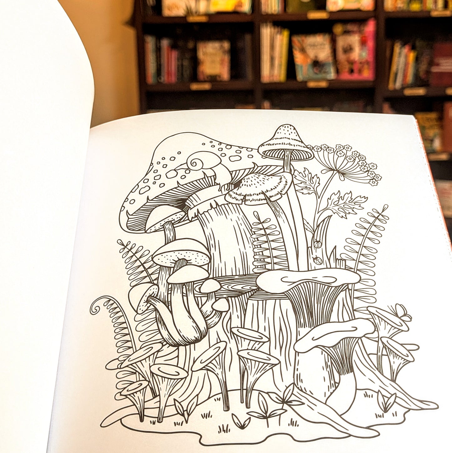 Mushrooms Adult Coloring Book (31 One-Sided Designs on Thick Paper)