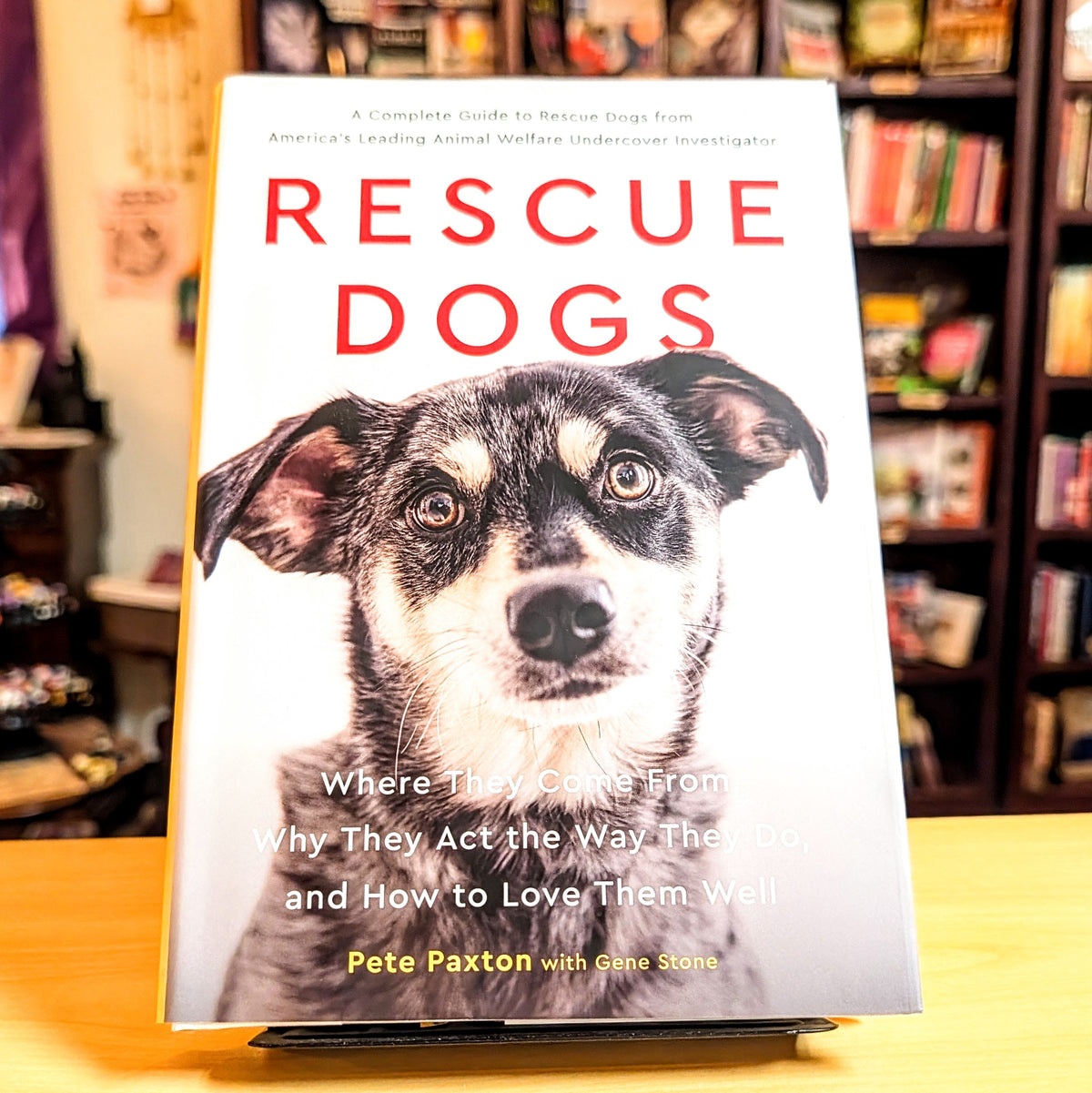 Rescue Dogs