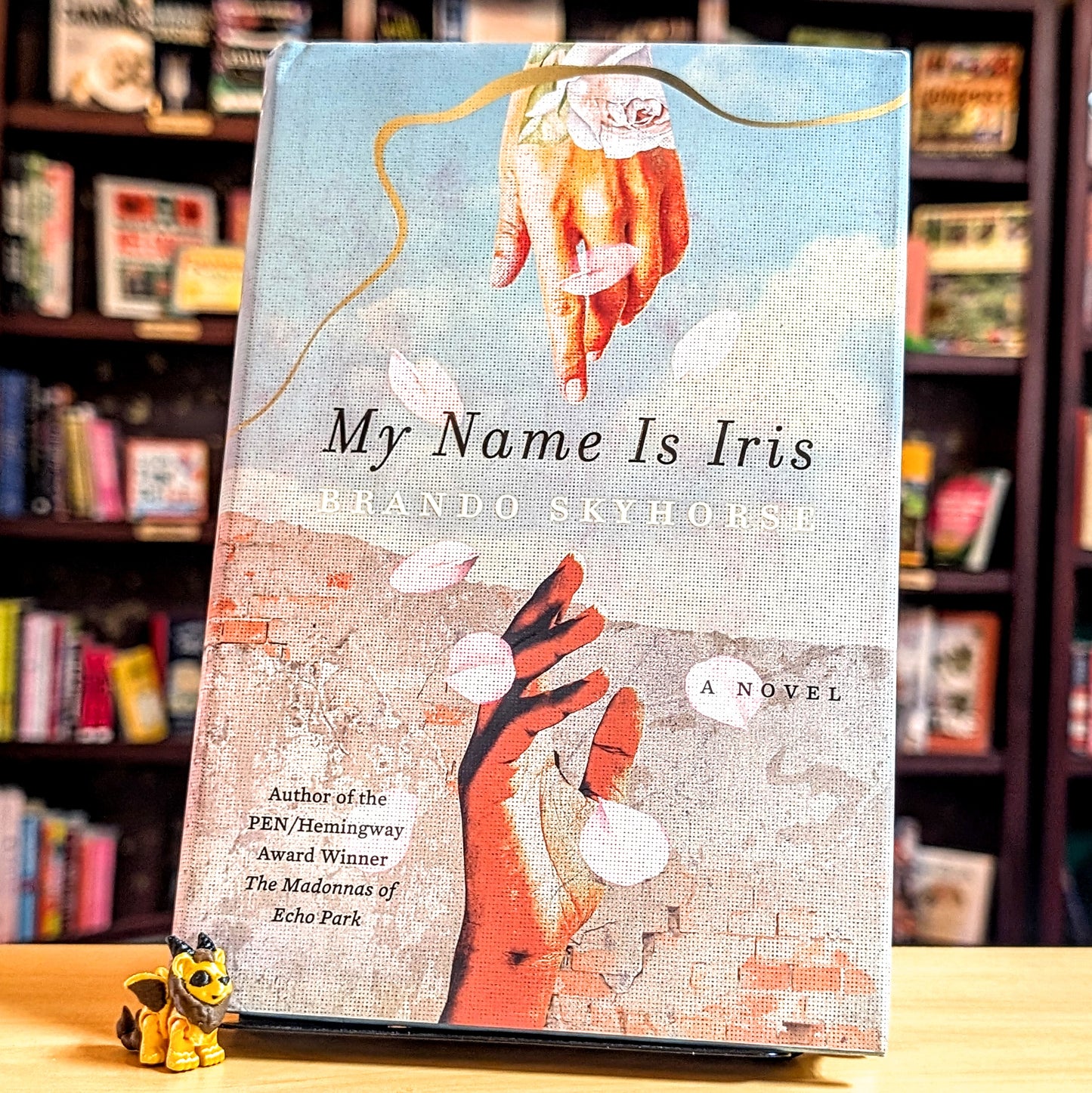 My Name Is Iris