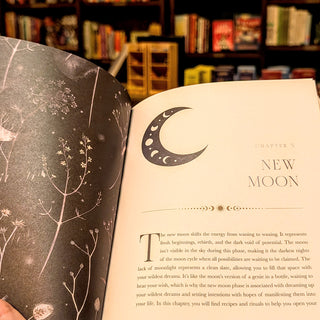 The Moon Apothecary