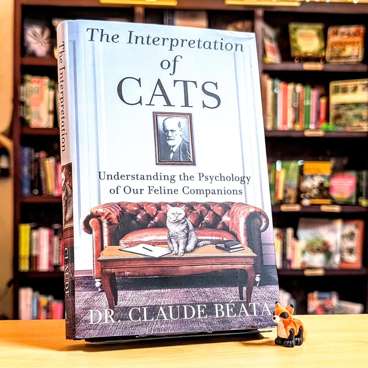 The Interpretation of Cats
