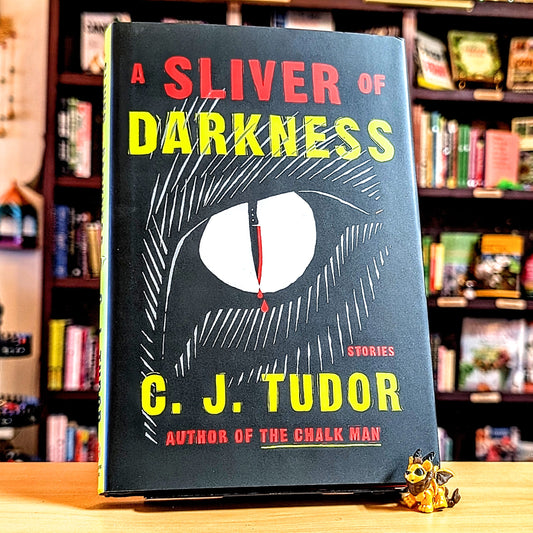 A Sliver of Darkness: Stories