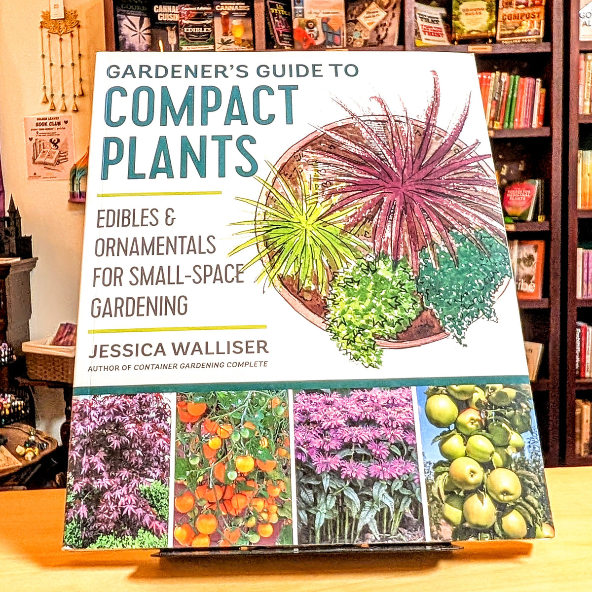 Gardener's Guide to Compact Plants
