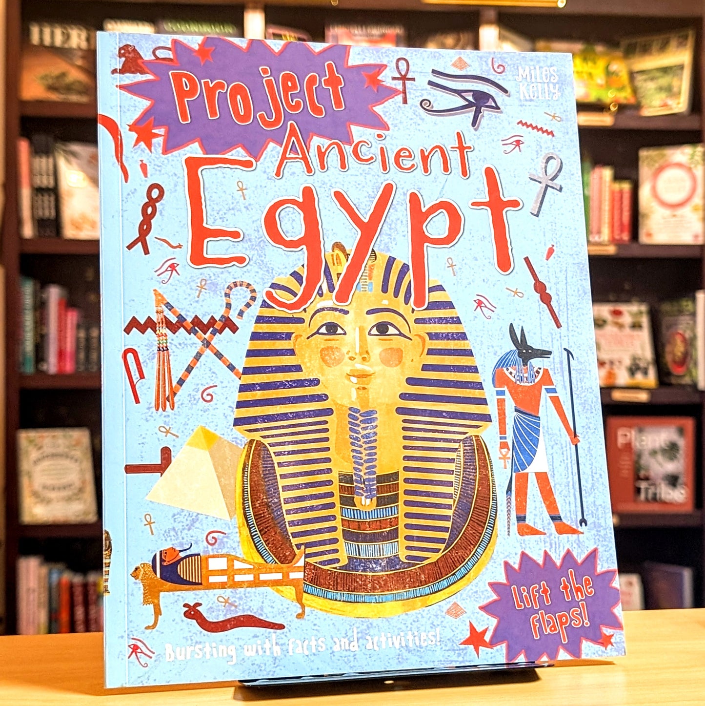 Project Ancient Egypt