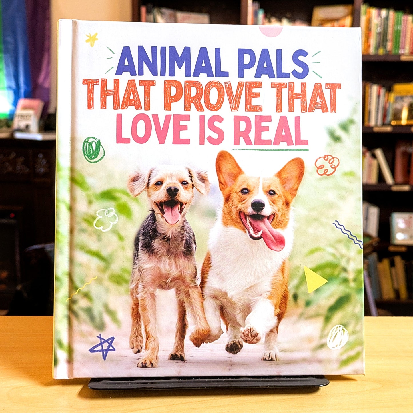 Animal Pals That Prove That Love Is Real