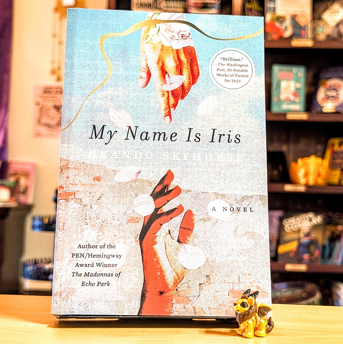 My Name Is Iris: A Novel