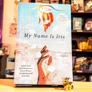 My Name Is Iris: A Novel
