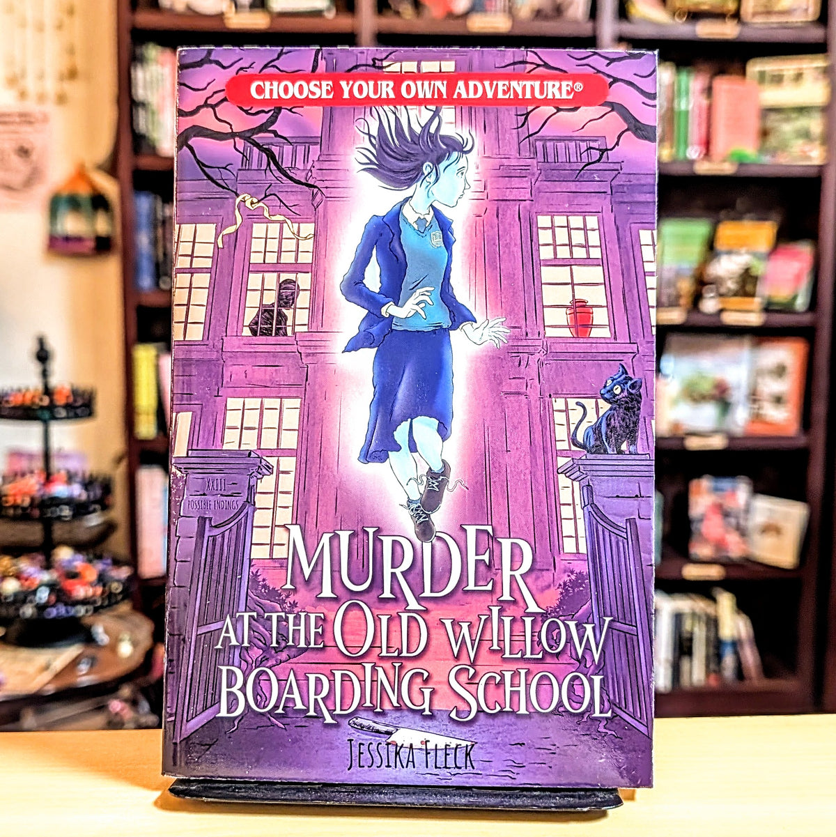 Murder at the Old Willow Boarding School