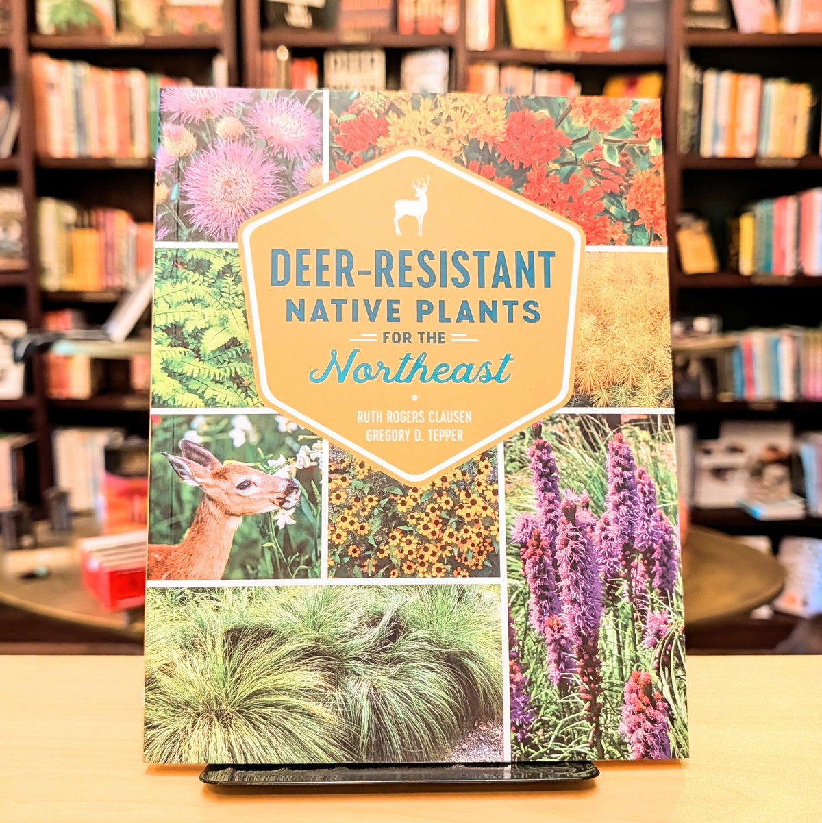 Deer-Resistant Native Plants for the Northeast