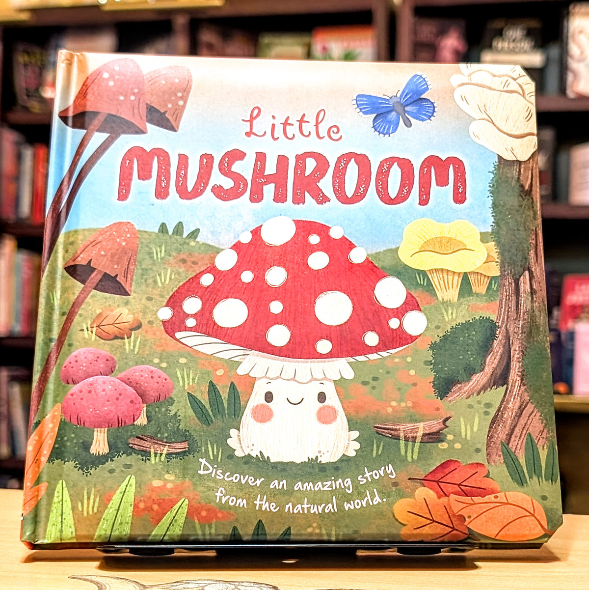 Nature Stories: Little Mushroom