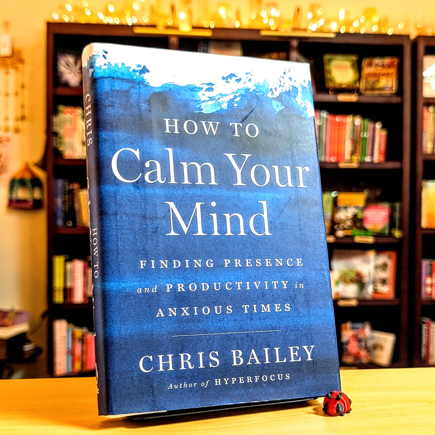 How to Calm Your Mind: Finding Presence and Productivity in Anxious Times