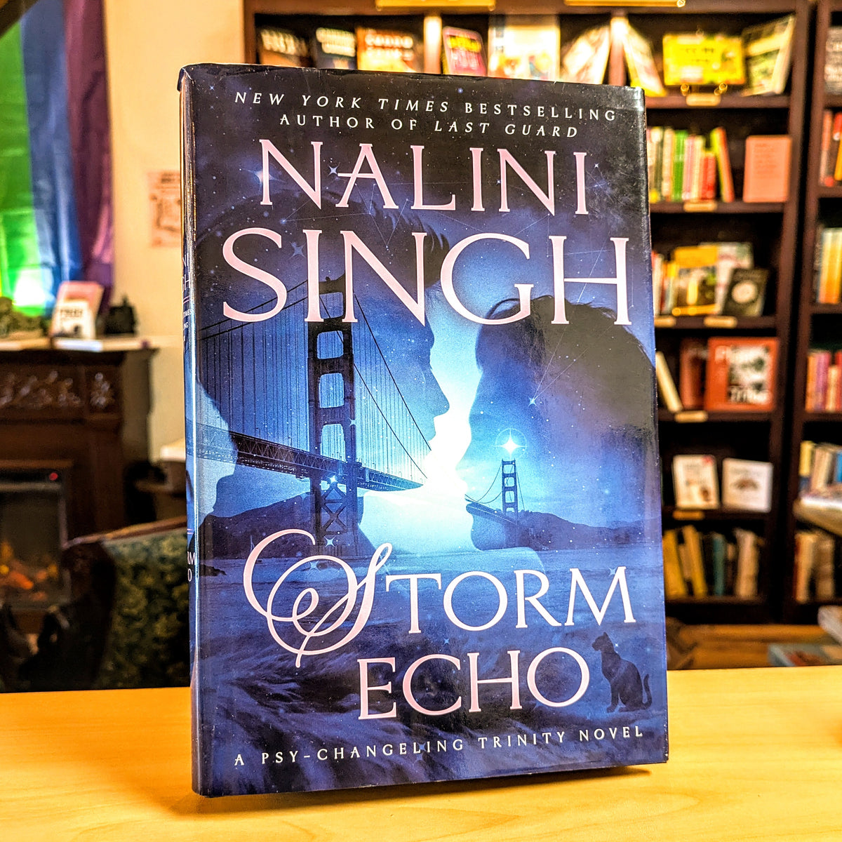 Storm Echo