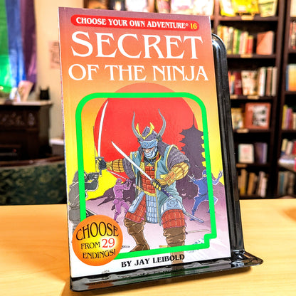 Secret of the Ninja