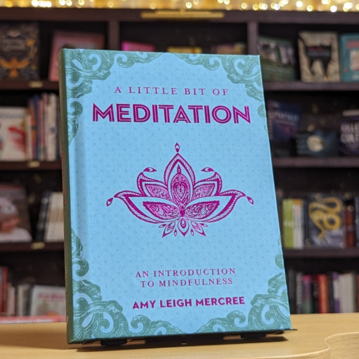 A Little Bit of Meditation: An Introduction to Focus (Volume 7) (Little Bit Series)